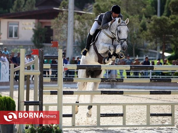 مسابقات پرش با اسب قهرمانی کشور بزرگسالان