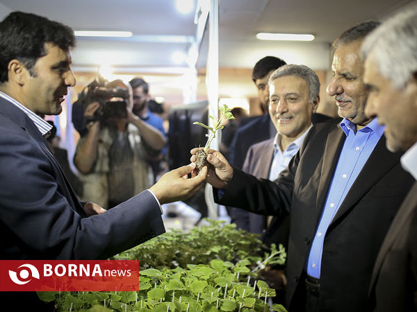 چهارمین جشنواره آموزش دانشگاه تهران