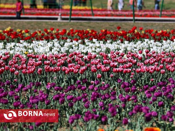 باغ لاله یادبود ایندریا گاندی