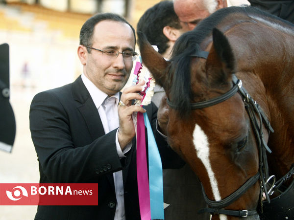 مسابقات پرش با اسب  قهرمانی استان تهران