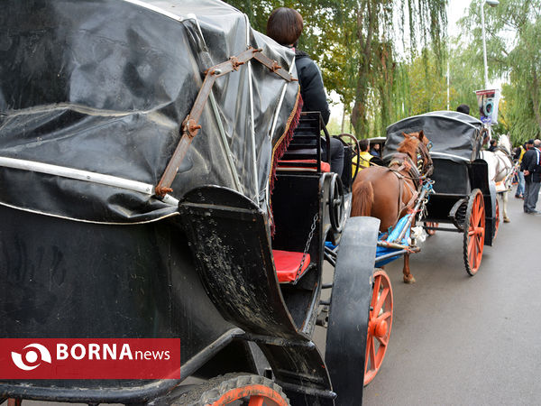 همايش دوچرخه سواری در پارک ناژوان اصفهان