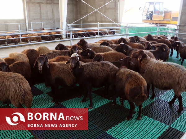 توانمندی های بخش کشاورزی شهرستان شبستر