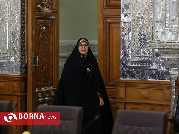 دیدار جمعی از وزرا با رییس مجلس شورای اسلامی