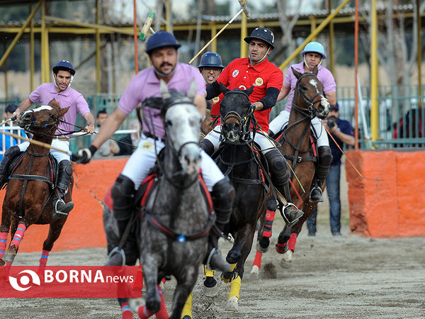 جام قهرمانی چوگان باشگاه‌های ایران