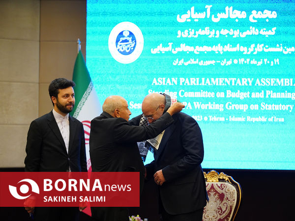 دیدار رئیس هیئت اعزامی شورای ملی فلسطین با رئیس مجلس