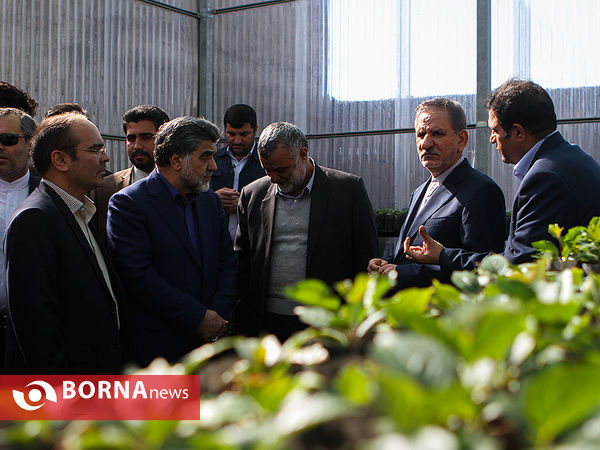 بازدید معاون اول رئیس جمهوری از چند پروژه کشاورزی و صنعتی در شهرستان رباط کریم