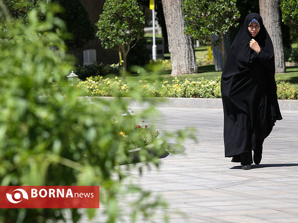 جلسه هیات دولت