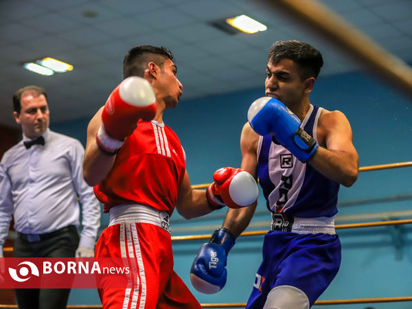 مسابقات بوکس قهرمانی بزرگسالان استان مرکزی