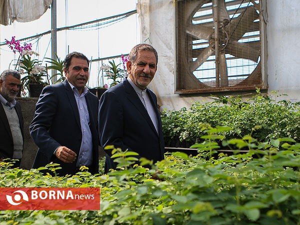 بازدید معاون اول رئیس جمهوری از چند پروژه کشاورزی و صنعتی در شهرستان رباط کریم