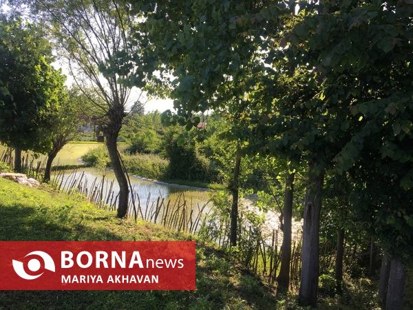 پسیخان رشت جاذبه طبیعی و گردشگری استان گیلان