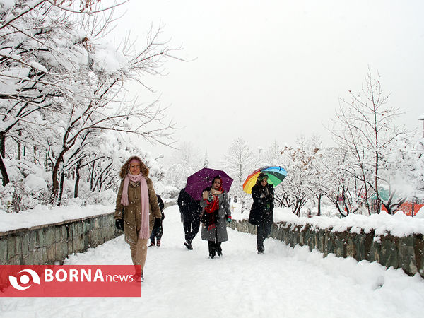 بارش برف در تهران