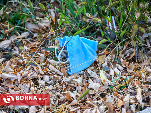 پاییز کرونایی