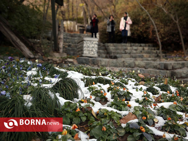بارش اولین برف پاییزی در تهران 2