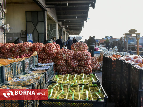 میدان میوه و تره بار در روزهای پایانی سال
