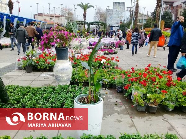 جشنواره گل و گیاه رشت 