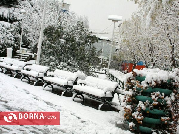 بارش نخستین برف پاییزی در تهران