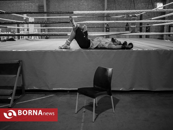 امیر علی اکبری قهرمان رشته MMA