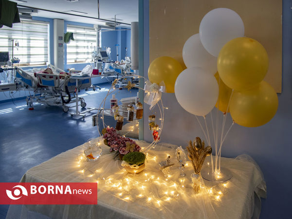 هفت سین در بیمارستان های قم