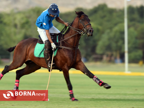 مسابقات چوگان جام بهران