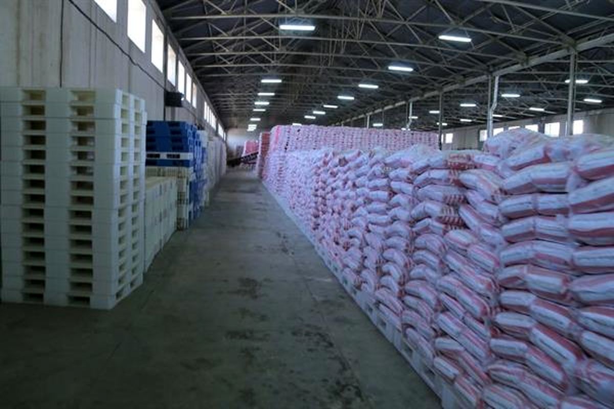 وضعیت برنج های موجود در انبار غله قزوین روشن شد