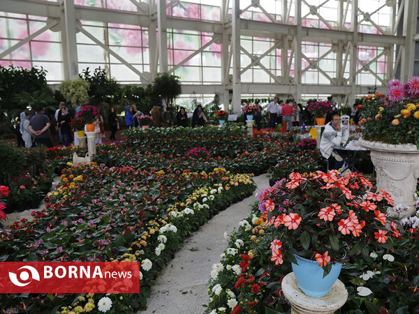 شانزدهمین نمایشگاه بین المللی گل و گیاه تهران