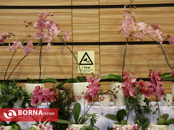 شانزدهمین نمایشگاه بین المللی گل و گیاه تهران