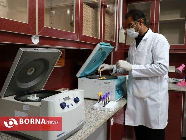 نذر خون شب دهم محرم