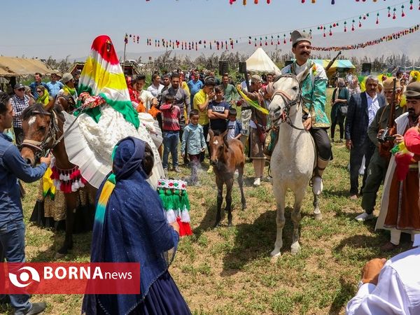 جشن ازدواج در عشایر ایل بزرگ قشقایی