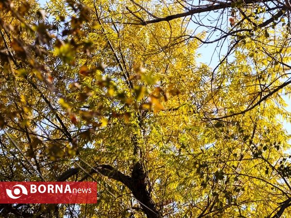 آخرین لحظات پاییزی