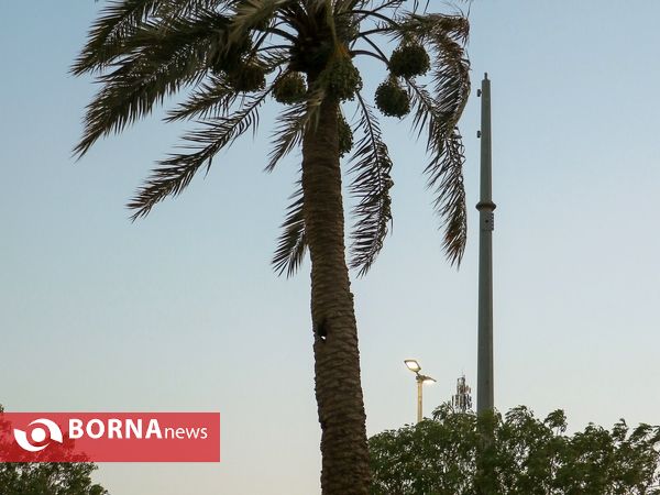 ششمین روز تبلیغات انتخاباتی در منطقه آزاد اروند