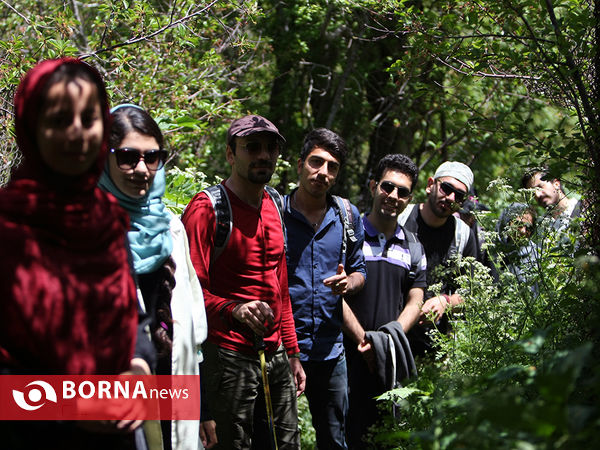 گردشگری در هفته جوان