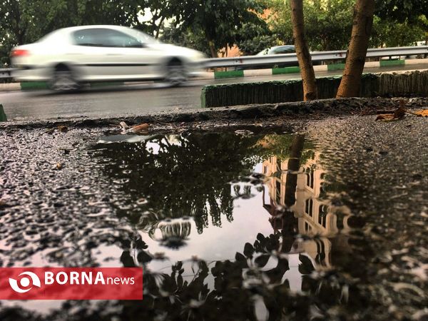 اولین باران پاییزی - خیابان سئول ( عکس : سید علی صالح )
