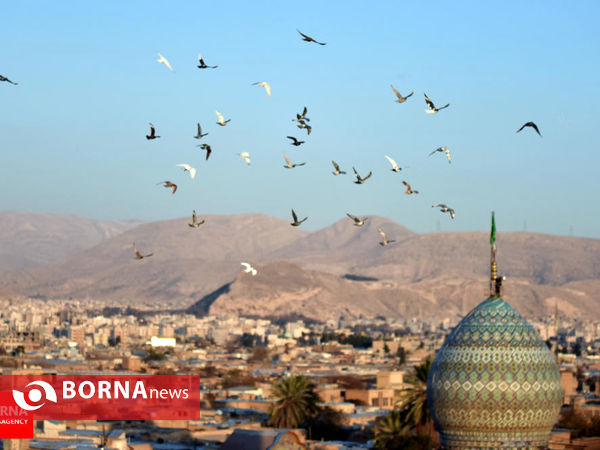 برگزیده گزارش های تصویری آذر ۱۳۹۴