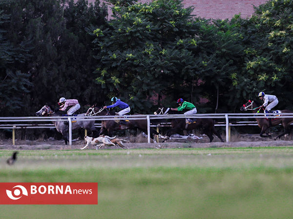مسابقات کورس تهران - نوروزآباد