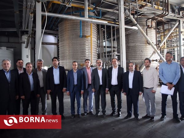 بازدید مدیرعامل بانک صنعت و معدن از طرح های تولیدی فارس