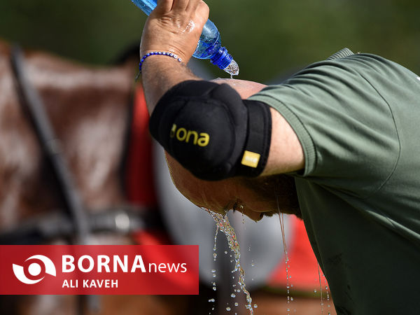 لیگ  ملی چوگان