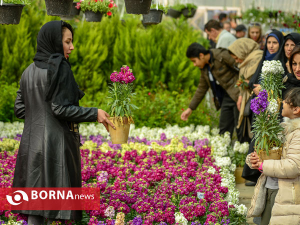 حال و هوای بازار های گل و گیاه اصفهان در آستانه نوروز