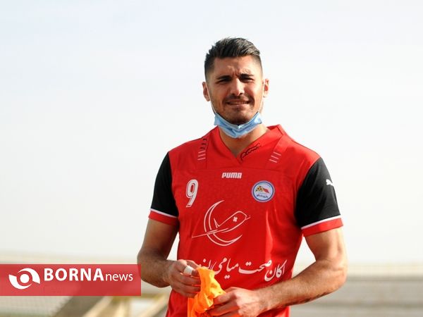 گل ریحان البرز - نود ارومیه