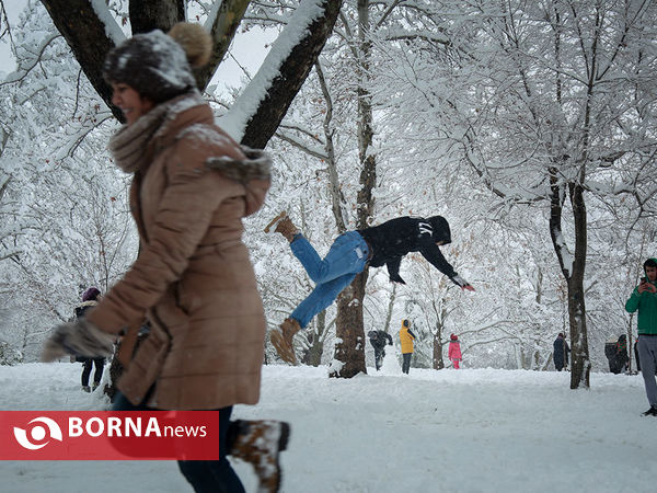 بارش برف در تهران-۴