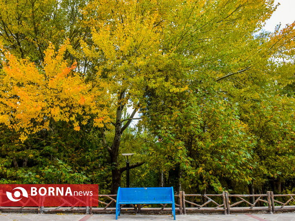 پاییز سراب عباس آباد شازند