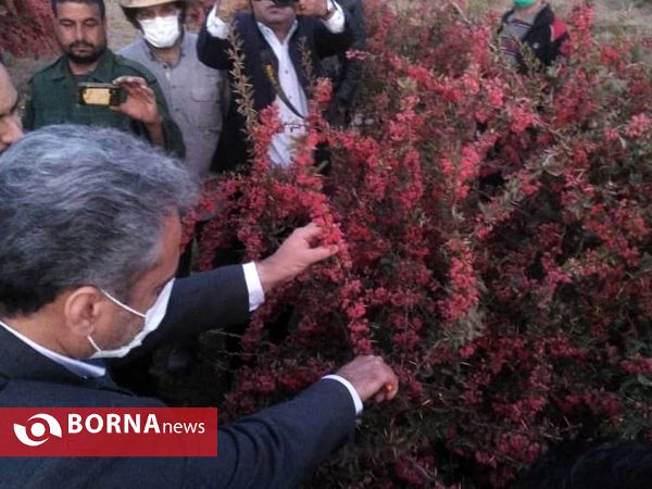سفر دو روزه وزیر جهاد کشاورزی به خراسان جنوبی