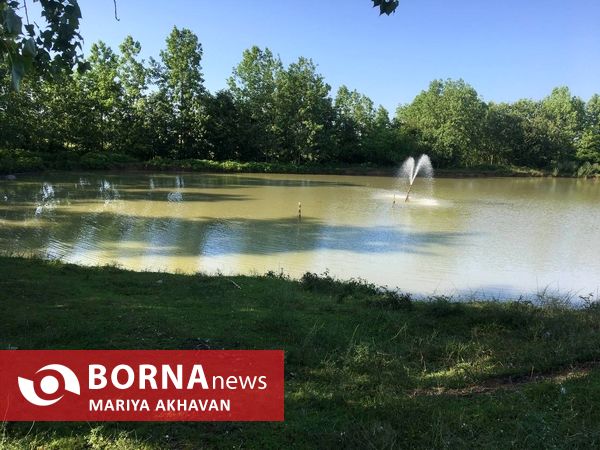 پسیخان رشت جاذبه طبیعی و گردشگری استان گیلان