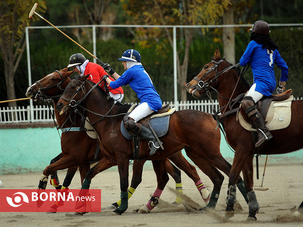 مسابقات چوگان بانوان جام وحدت