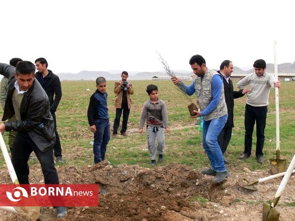 آغازفعالیتهای درختکاری در رومشکان درآستانه هفته منابع طبیعی