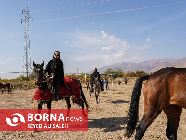 مسابقات زیبایی اسب ترکمن