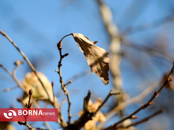 آخرین لحظات پاییزی