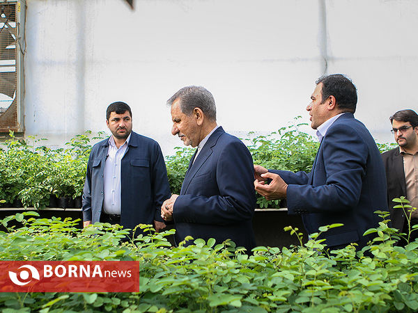 بازدید معاون اول رئیس جمهوری از چند پروژه کشاورزی و صنعتی در شهرستان رباط کریم