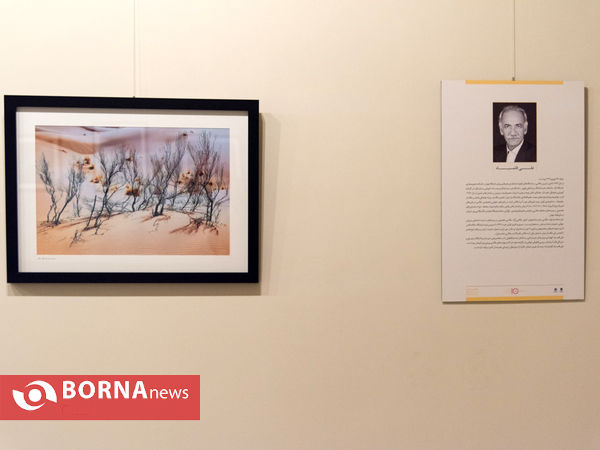 نکوداشت و نمایشگاه ۱۰ عکاس ایرانی
