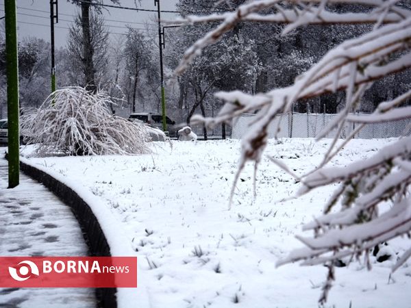 بارش برف بهاری در ارومیه