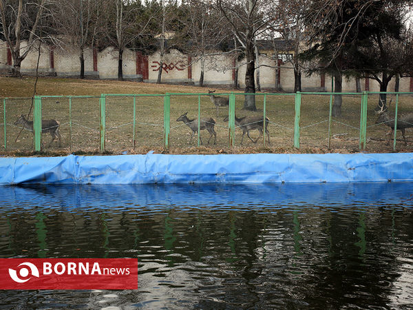 هوای پاک امروز تهران